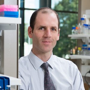 phototonyphillips.com